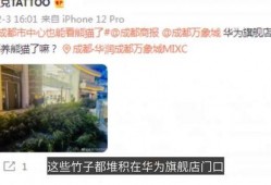 爆料新鲜大事件视频下载,爆料新鲜大事件幕后真相