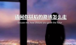 情感语录爆料视频,视频中的感人瞬间