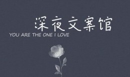 情感语录爆料视频,视频中的感人瞬间