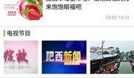肥西女婿爆料新闻最新,揭秘家庭琐事背后的惊人真相