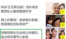 假娱乐圈爆料有哪些,假爆料背后的真相与内幕