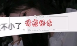 情感语录爆料视频,视频中的感人瞬间