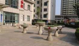 诸城半岛爆料事件视频,真相与争议的交织
