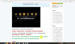 视频爆料规则有哪些内容,你必须知道的五大要点