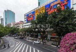 广州公寓爆料最新消息,揭秘价格波动与市场动态