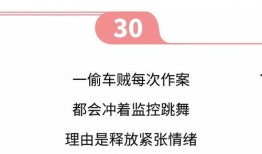 新闻爆料歌曲搞笑视频,爆笑视频来袭！新闻爆料歌曲引网友热议