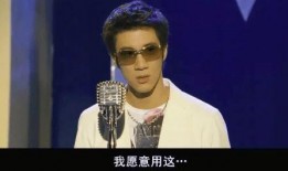 吃瓜网红王力宏是谁啊百度百科,吃瓜网红背后的音乐才子