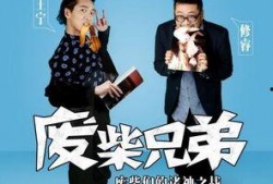 废柴兄弟2在线观看免费,笑料横生，兄弟情深再续前缘
